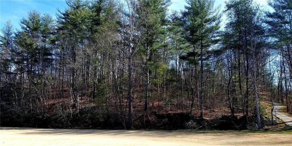 0 Fairway Drive - Photo 1