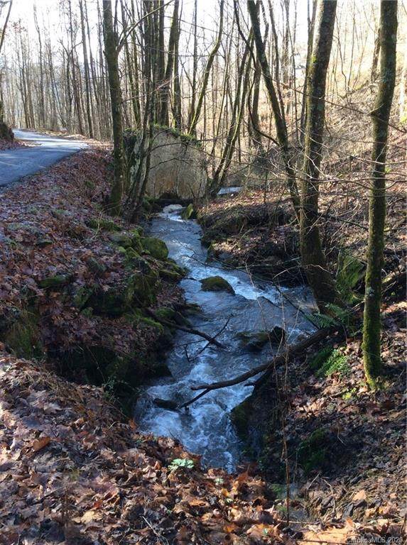 00 Parris Branch Road - Photo 1