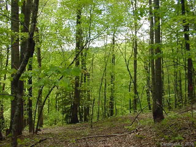 Lot 485 Pear Tree Drive - Photo 1