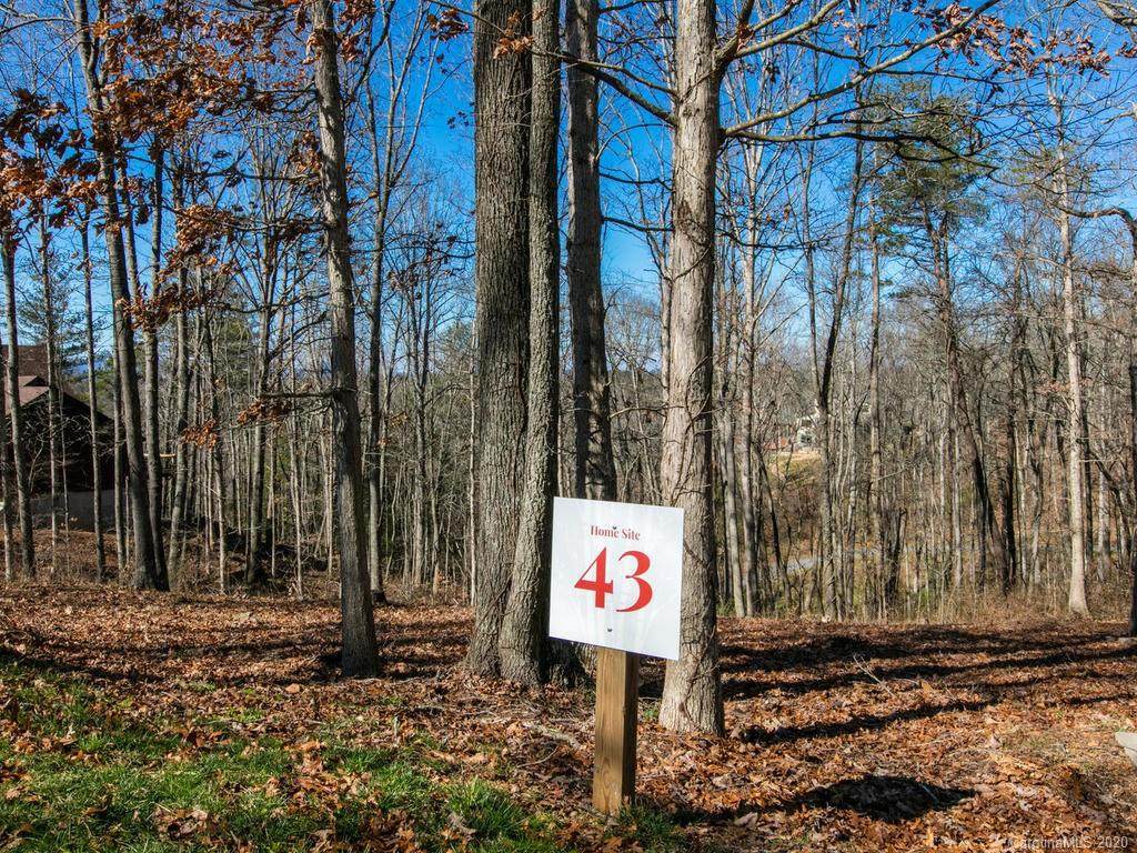 45 Sweet Fern Parkway - Photo 1
