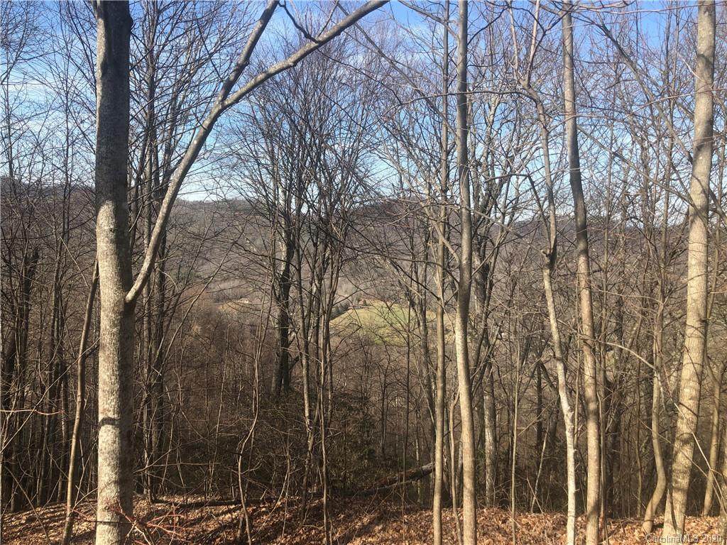 663 Blue Mist Way - Photo 1