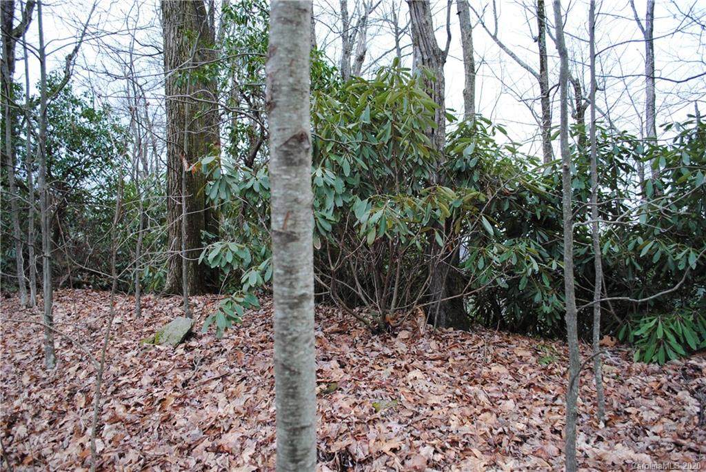 999 Wolf Pen Cliffs Road - Photo 1