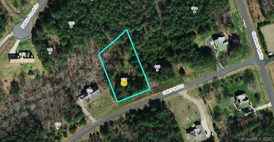 124 Oak Point Lane - Photo 1