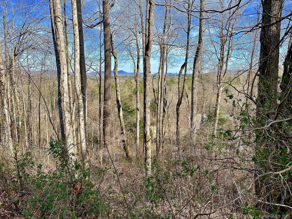 174 High Road Overlook - Photo 1