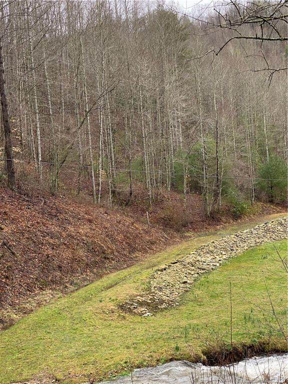 00 Roaring Fork Road - Photo 1