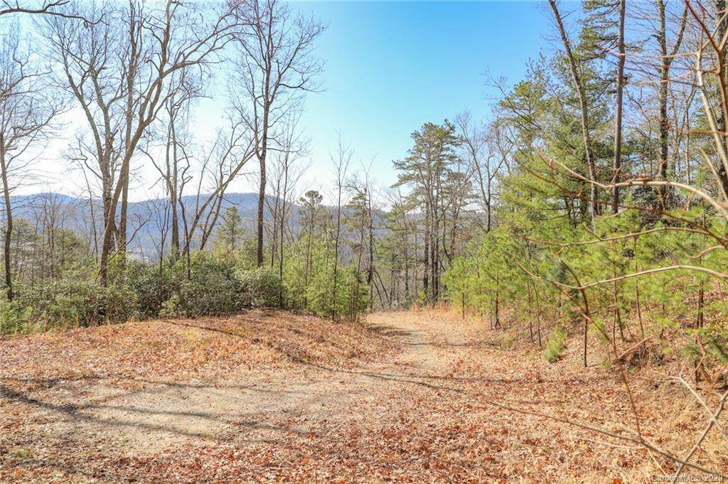 0000 Ridge Creek Road - Photo 1