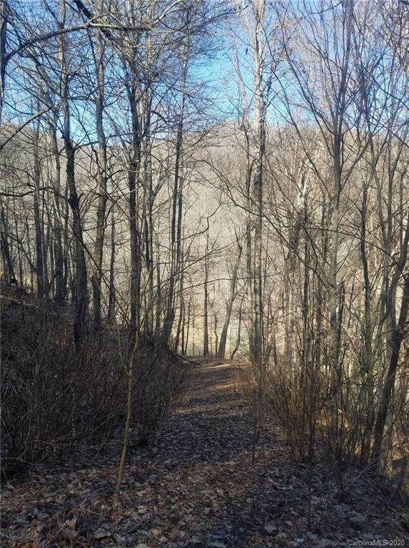651 Chestnut Flats Lane - Photo 1