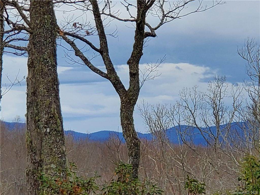 99999 Pisgah Forest Drive - Photo 1