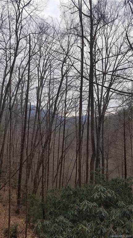 00 Chestnut Branch Road - Photo 1