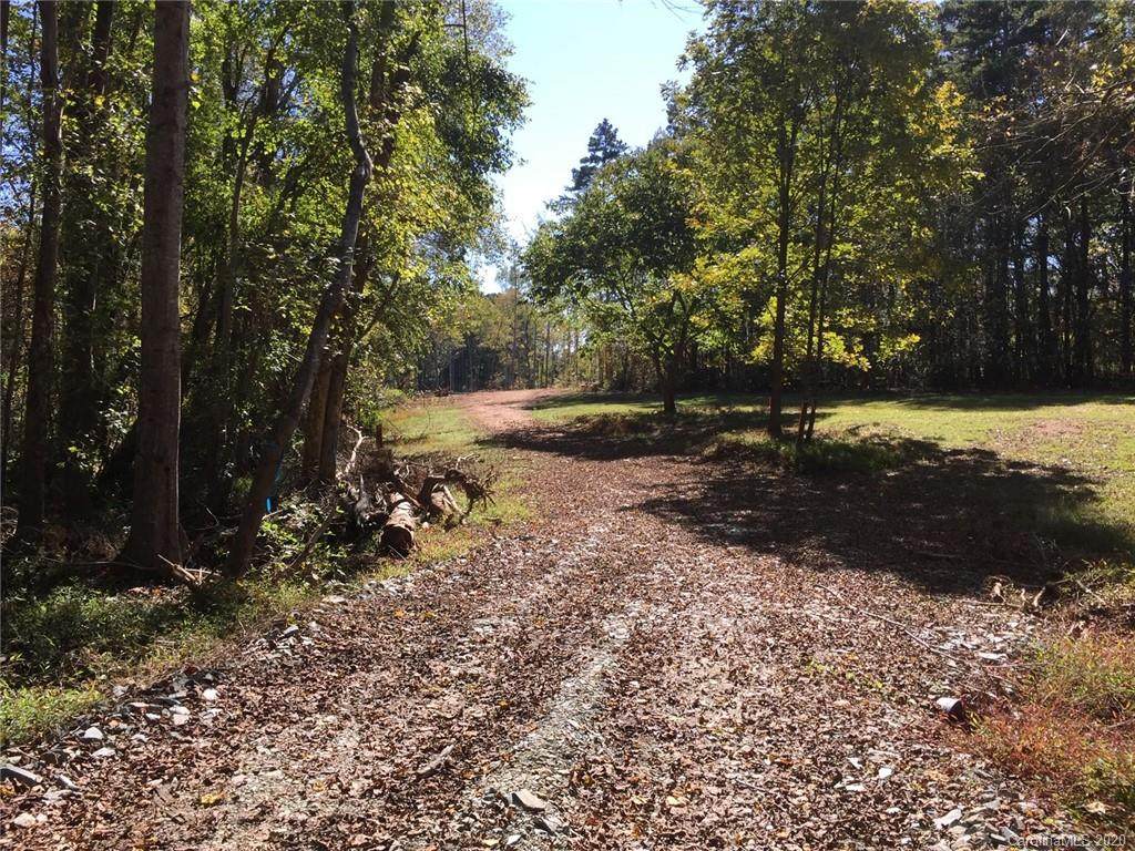 000 Emanuel Church Road - Photo 1