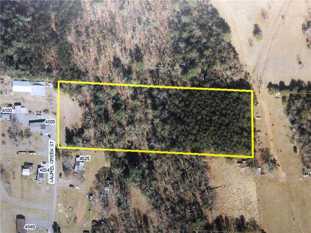 4801 Laurel Creek Street - Photo 1