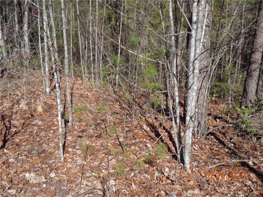 0 Walnut Ridge Road - Photo 1 0 Walnut Ridge Road - Photo 1