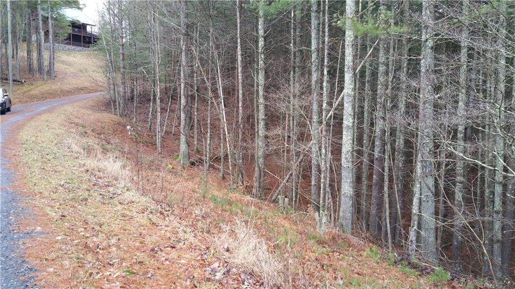 TBD Turkey Ridge - Photo 1