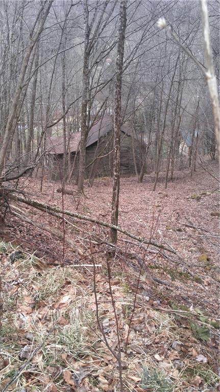 0000 Puncheon Fork Road - Photo 1