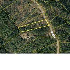 0 John Wilson Lane - Photo 1