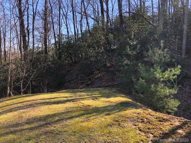 TBD Shining Rock Path - Photo 1