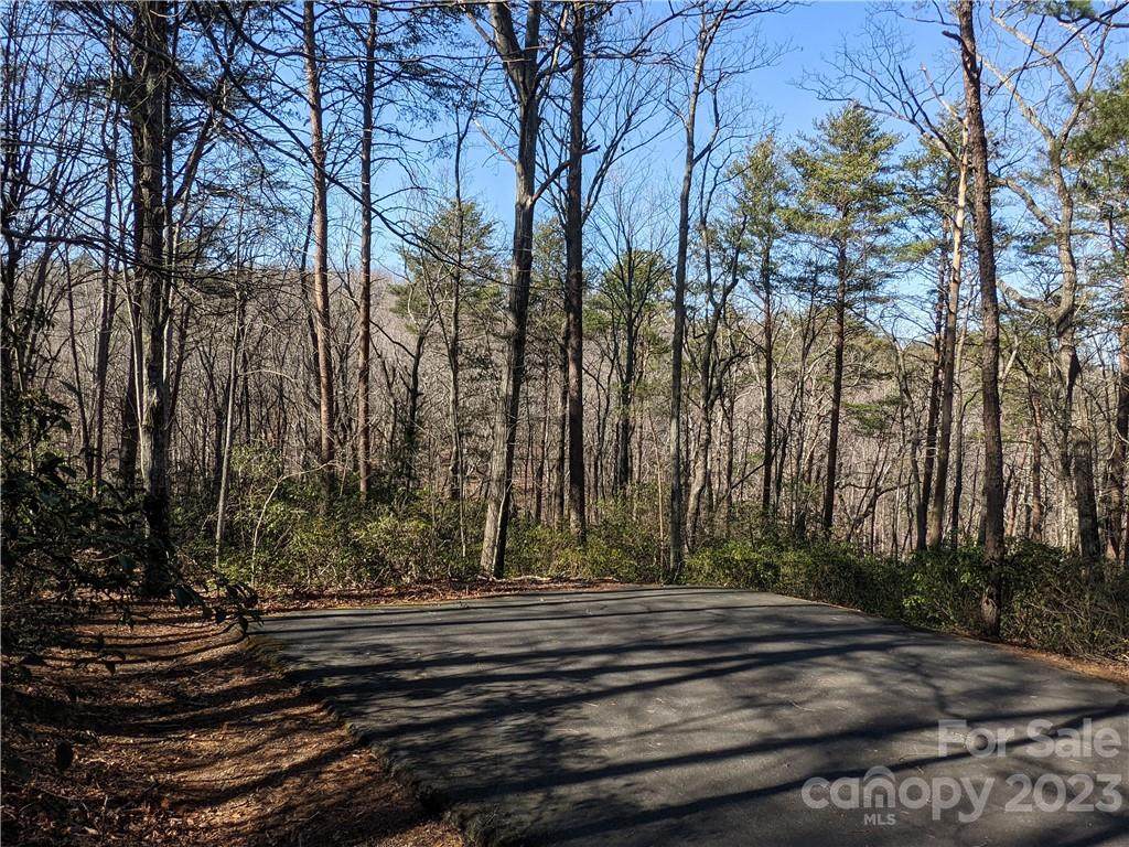 000 Willow Lane - Photo 1