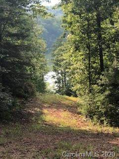 Lot 5 Huskey Pointe - Photo 1