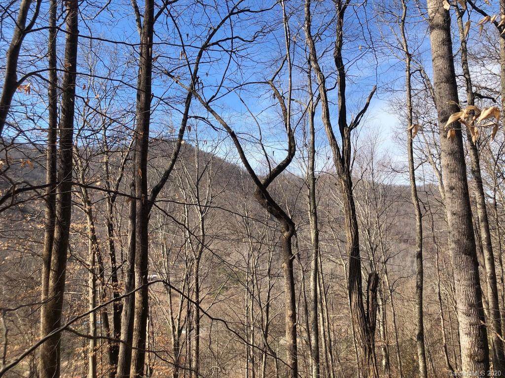 99999 Paint Fork Road - Photo 1