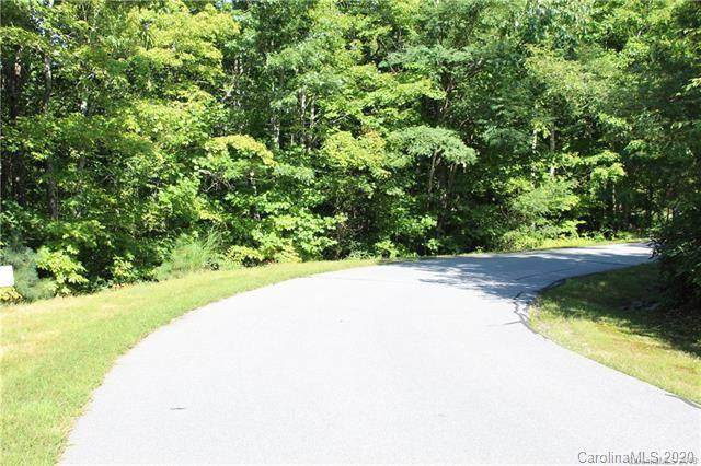 233 Arcadia Falls Way - Photo 1
