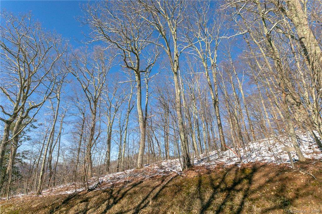 Lot 17 Old Growth Forest Road - Photo 1