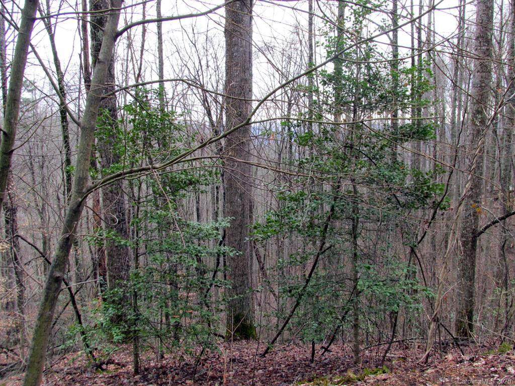 Tract 14 Gobbler Ridge - Photo 1