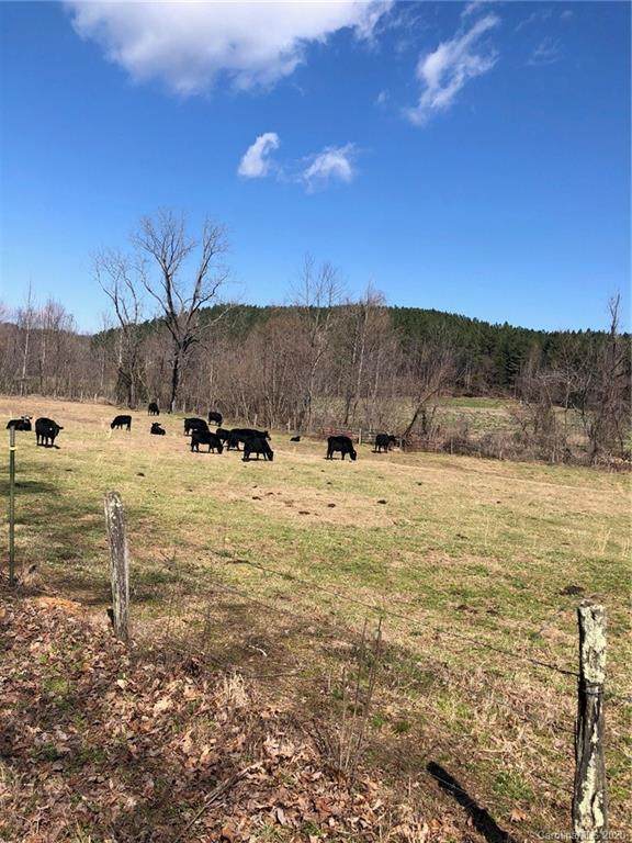 000 Holbert Cove Road - Photo 1