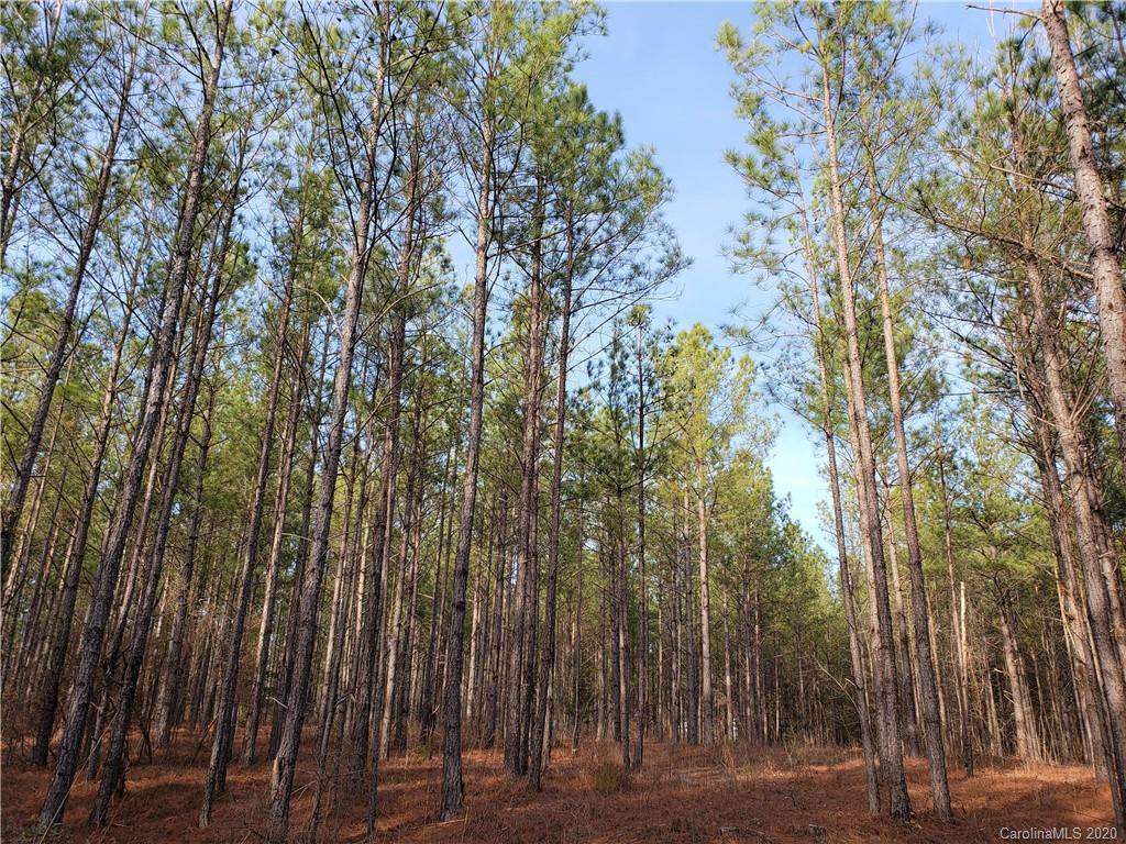 55 Acres Flat Creek Highway - Photo 1