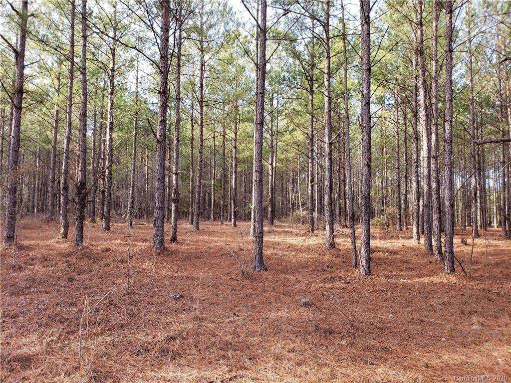 57 Acres Flat Creek Highway - Photo 1