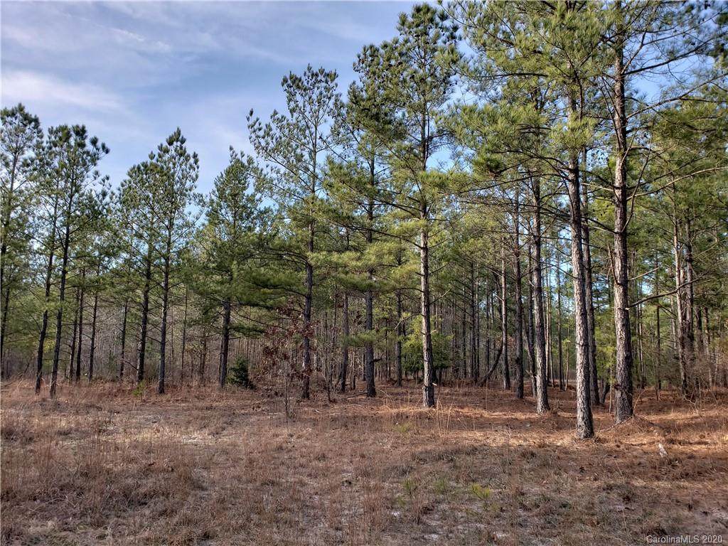 206 Acres Flat Creek Highway - Photo 1
