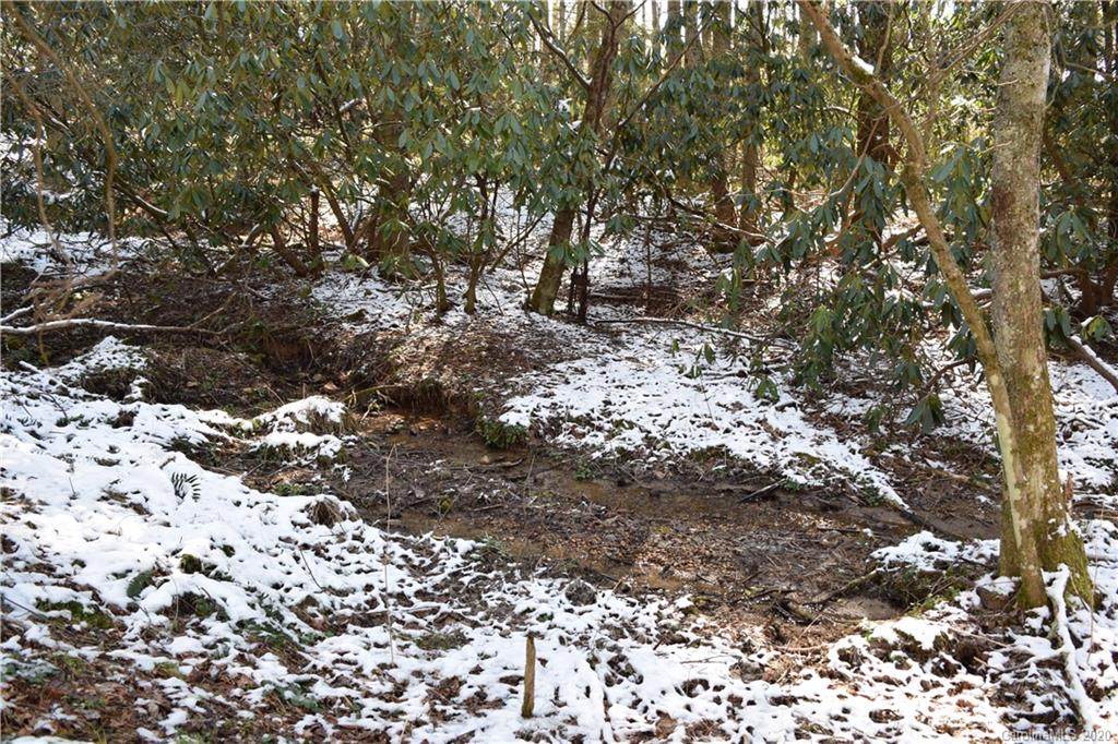 000 Carters Ridge Road - Photo 1