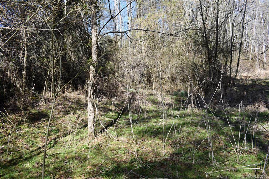 1354 Coxes Creek Road - Photo 1