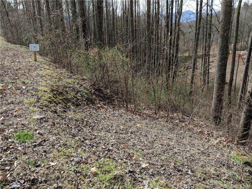 37 Ashewood Mountain Way - Photo 1