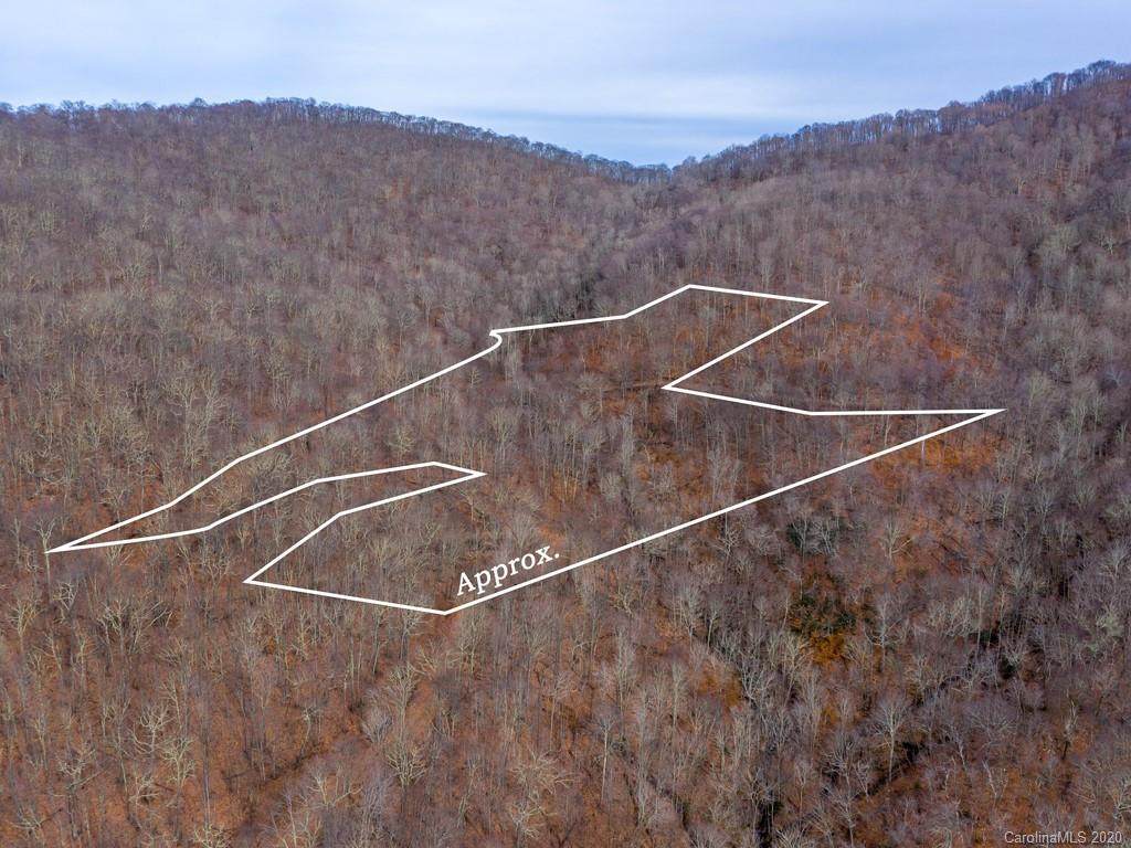000 Ogle Meadows Road - Photo 1