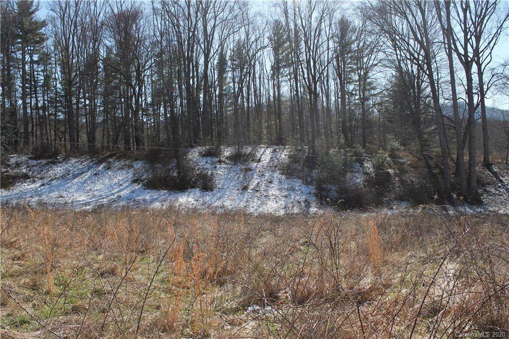 000 Bunny Run Road - Photo 1