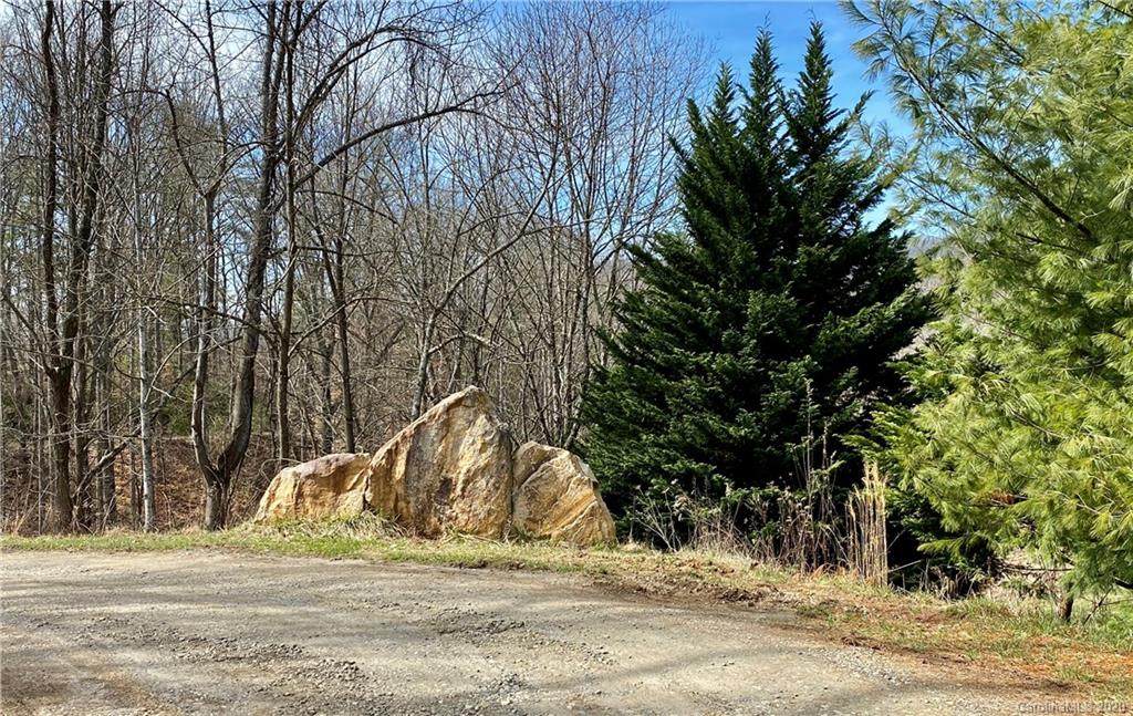 155 Cove Trail - Photo 1