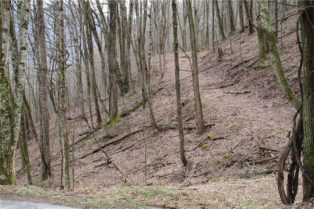 Lot 12 Low Gap Road - Photo 1