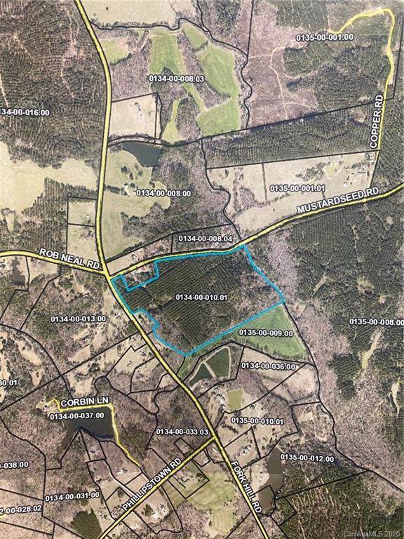 000 Fork Hill Road - Photo 1