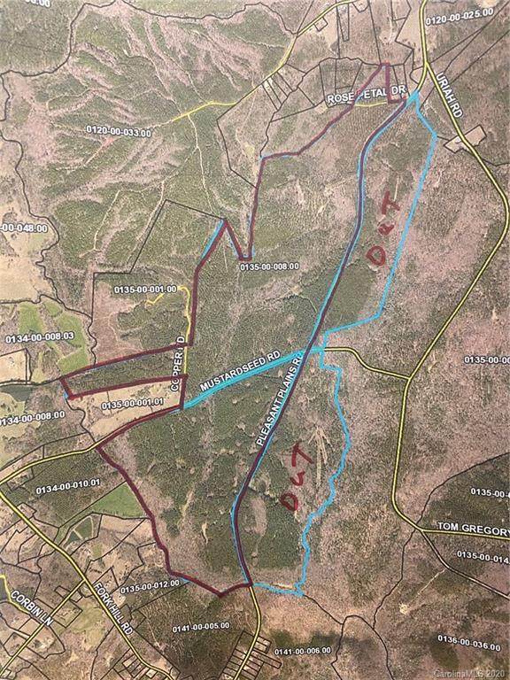 00 Pleasant Plains Road - Photo 1