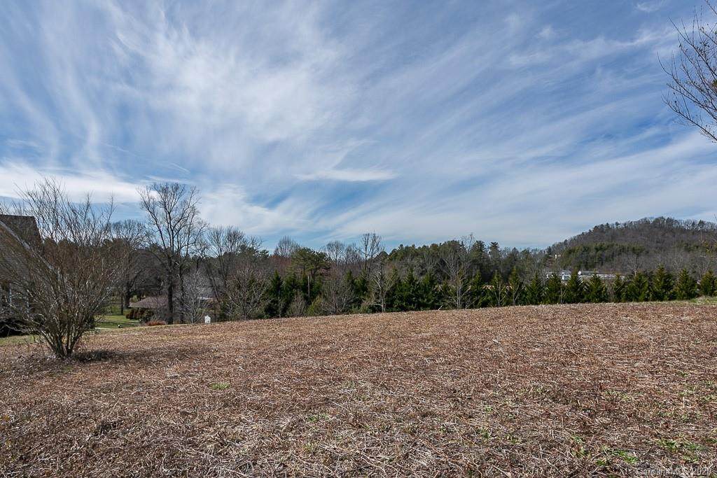 38 Red Laurel Court - Photo 1