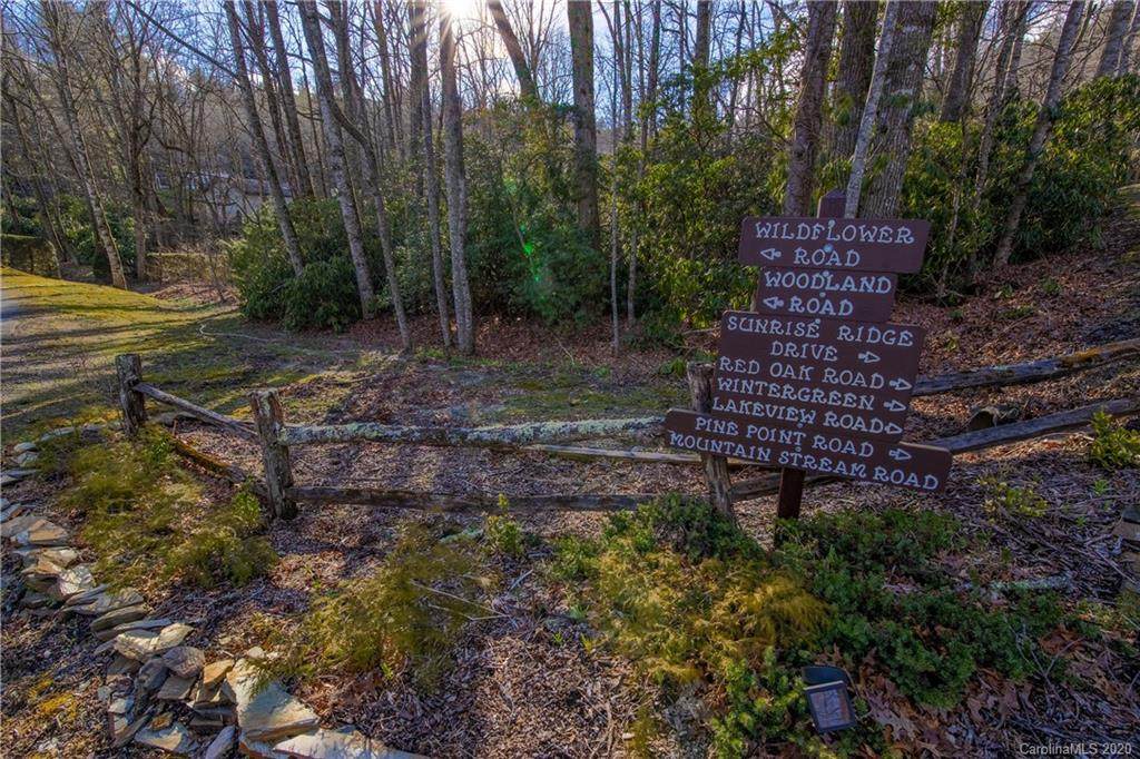 TBD Wild Flower Road - Photo 1