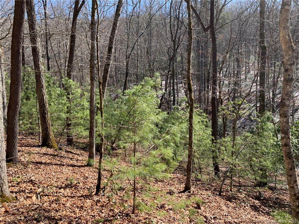 999 Fern Hollow Road - Photo 1