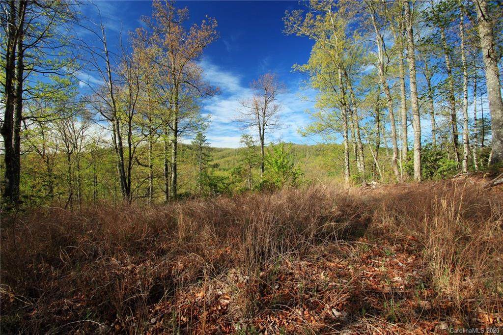 10 Red Maple Lane - Photo 1