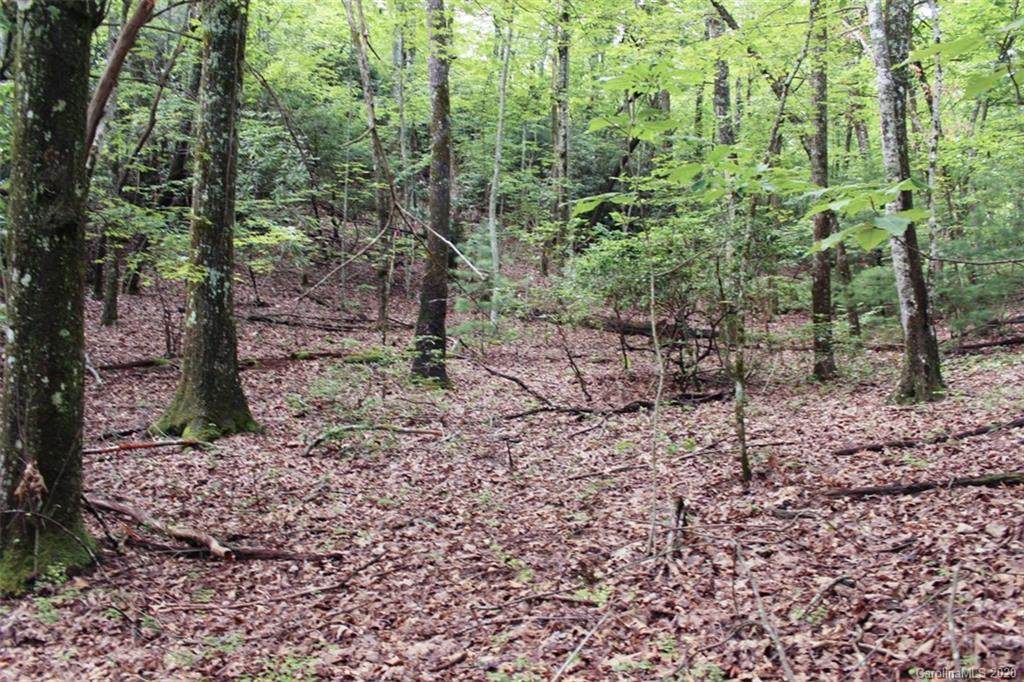 5 Walnut Ridge Road - Photo 1 5 Walnut Ridge Road - Photo 1