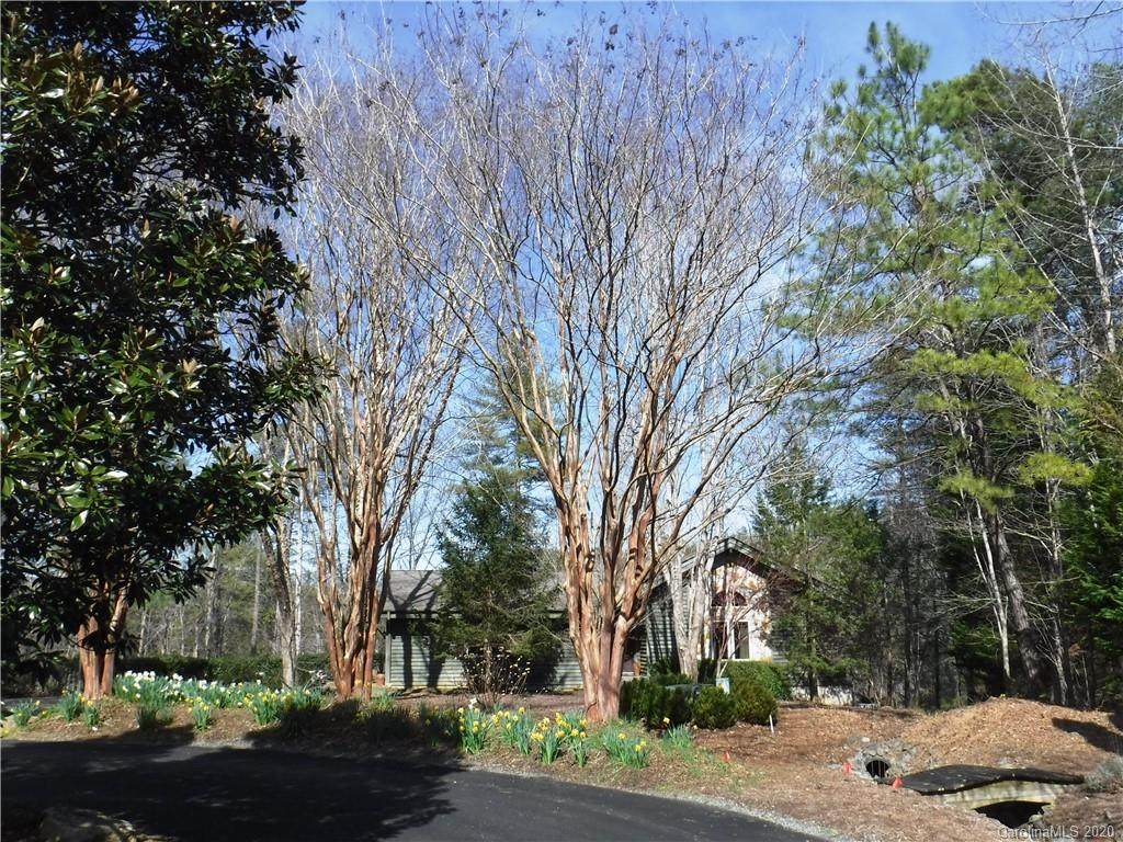 110 Spruce Pine Lane - Photo 1