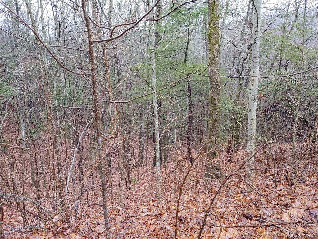 210 Thistlewynd Trail - Photo 1