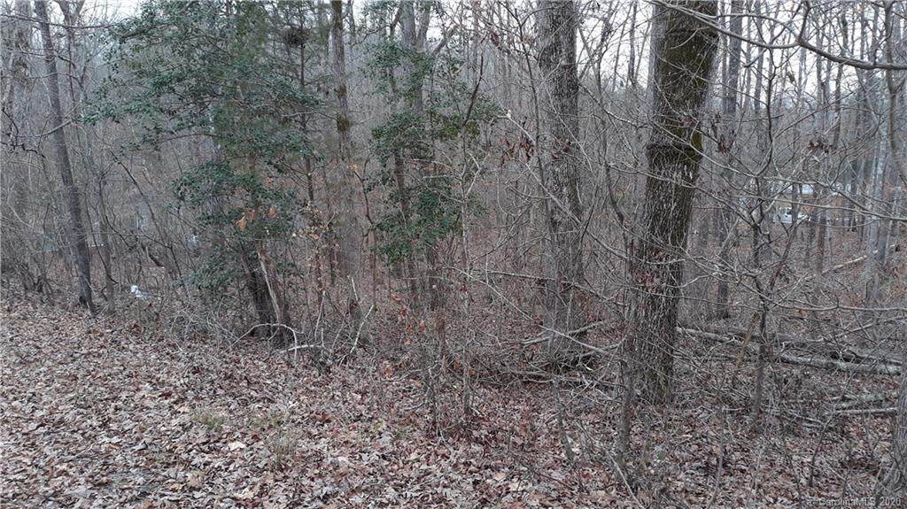 00 Pine Lake Drive - Photo 1