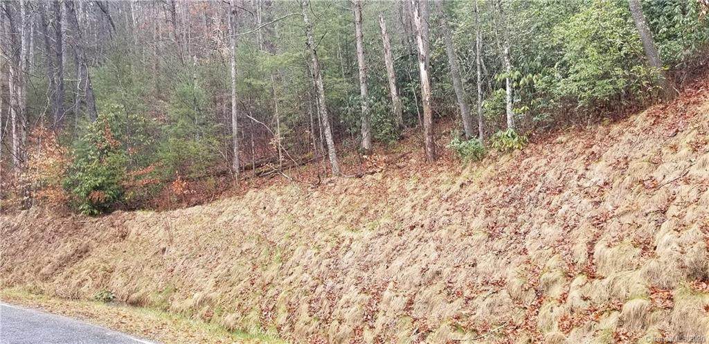 00 Luker Branch Road - Photo 1