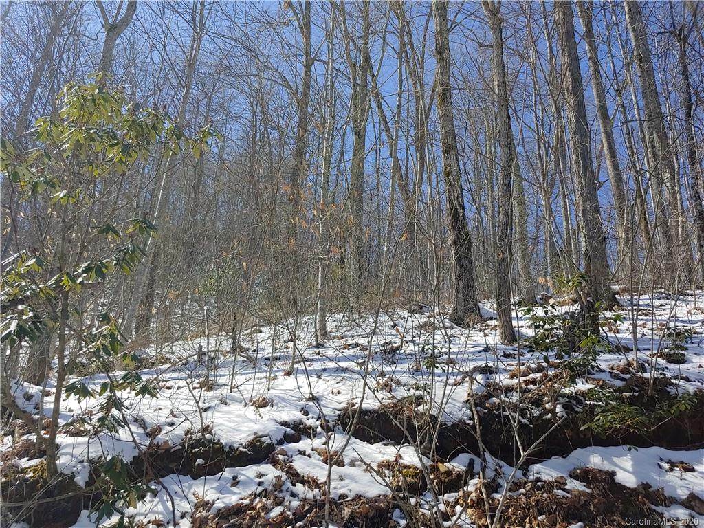 Lot L Hoot Owl Bill Road - Photo 1