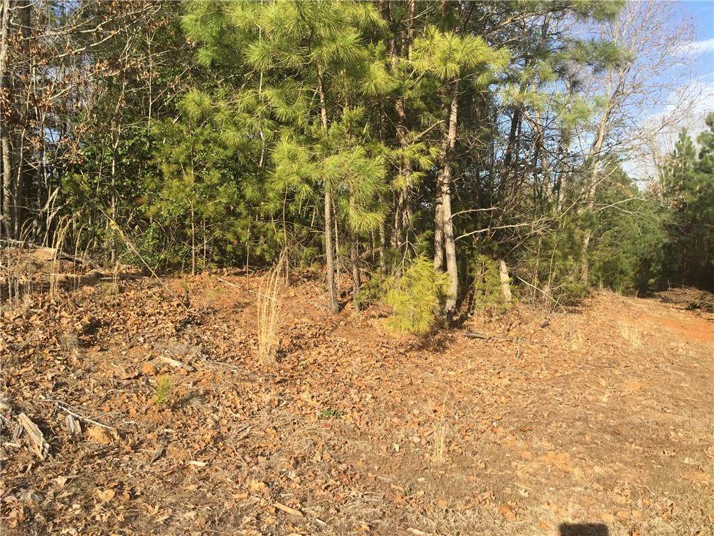 5566 Stillwater Drive - Photo 1